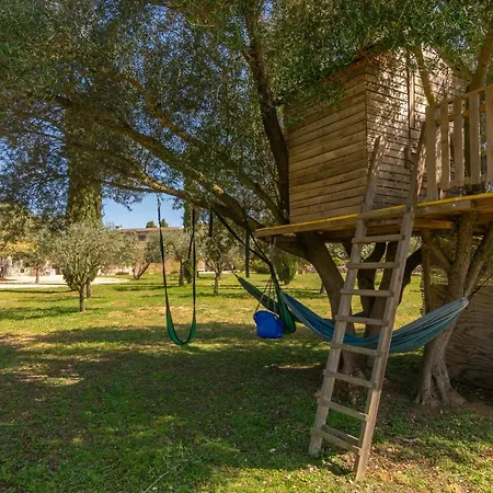 Prim 6 Sant Llorenc Des Cardassar