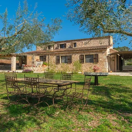 Prim 6 * Sant Llorenc Des Cardassar